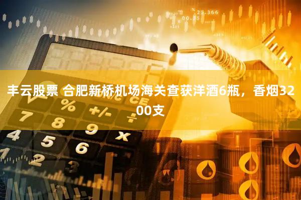 丰云股票 合肥新桥机场海关查获洋酒6瓶，香烟3200支