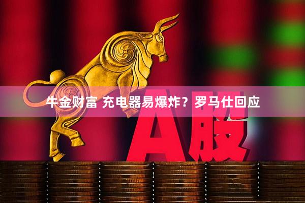 牛金财富 充电器易爆炸？罗马仕回应