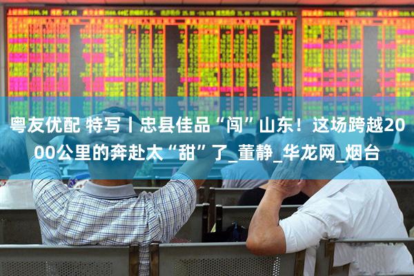 粤友优配 特写丨忠县佳品“闯”山东！这场跨越2000公里的奔赴太“甜”了_董静_华龙网_烟台