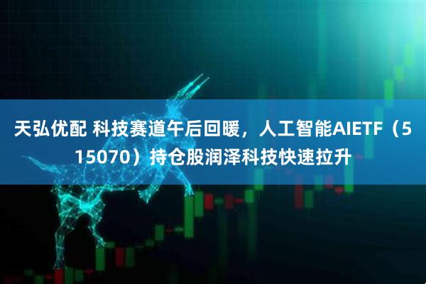 天弘优配 科技赛道午后回暖，人工智能AIETF（515070）持仓股润泽科技快速拉升