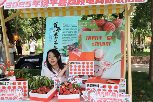 辉煌配资 压轴登场！潮州饶平晚熟荔枝接力“出圈”